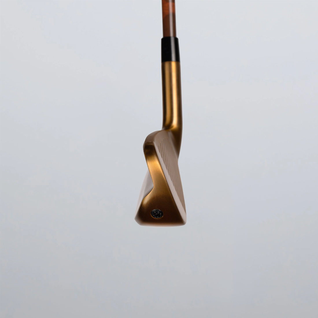 101U-Limited-_0005_3